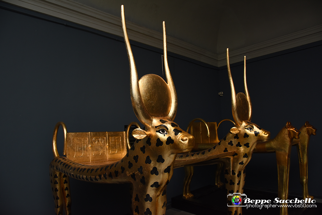 VBS_5116 - Tutankhamon - Viaggio verso l'eternità.jpg
